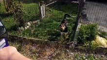 A VOLTE È MEGLIO CHE LA SPERANZA SIA LA PRIMA A MORIRE 🙄
