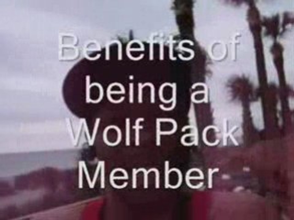 The Secret of my Success