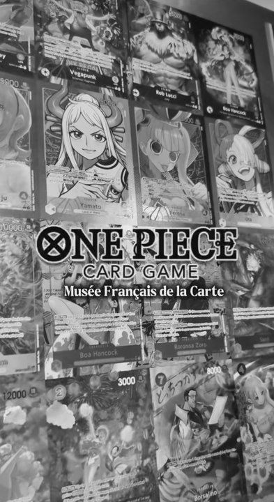 ONE PIECE TCG exposition !
