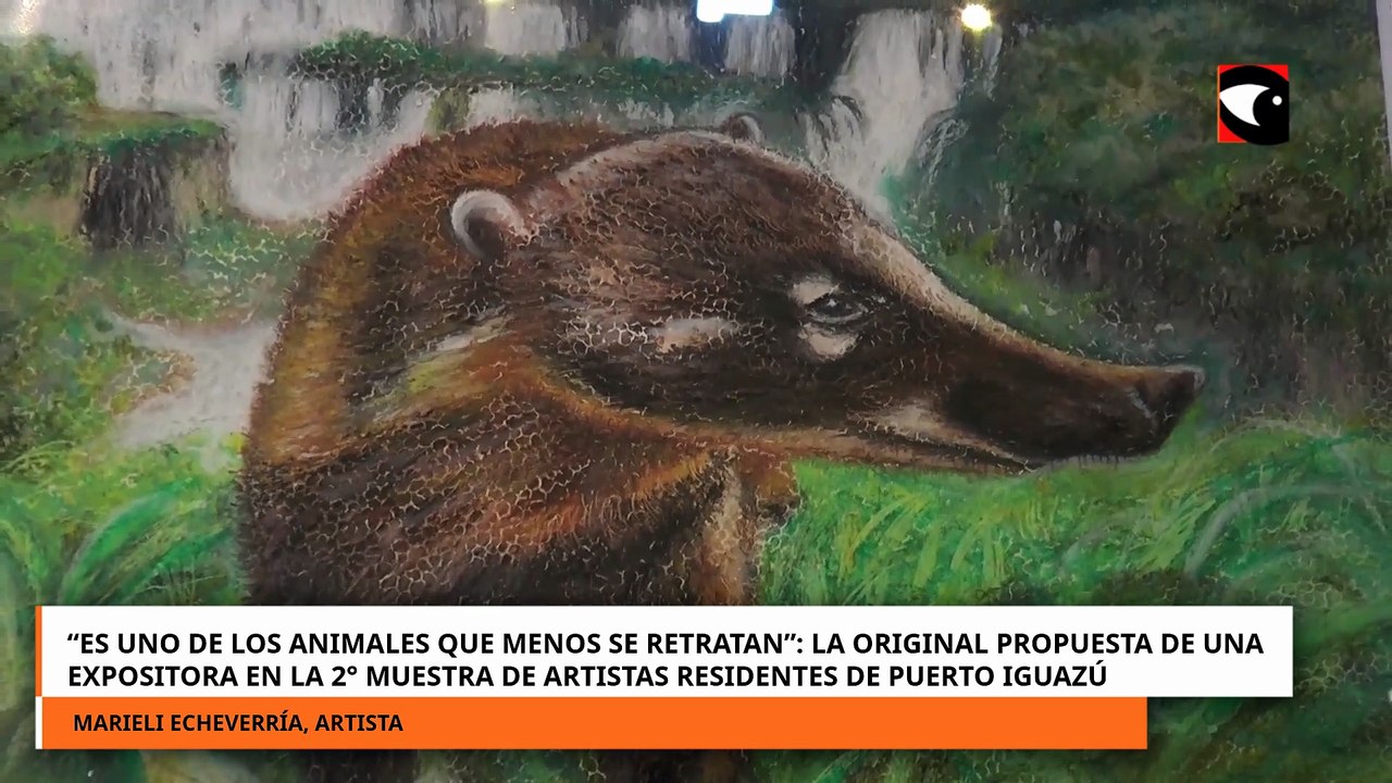 La original propuesta de una expositora en la 2° muestra de artistas residentes de Puerto Iguazú