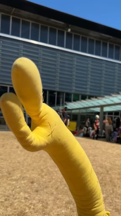 NOOOOOON KOROSENSEI