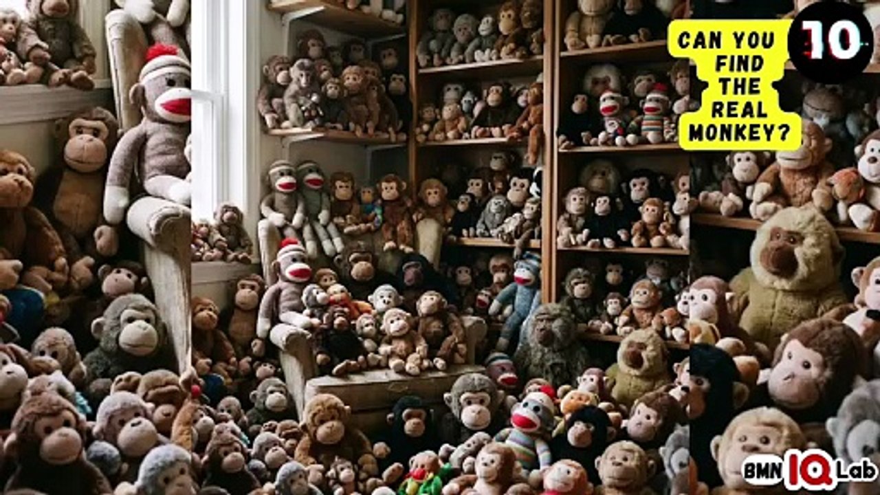 #YourEyesVsTheMonkeys 👀⚔️🐵 Can You Find the Real Monkey? 🐒