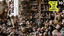 #YourEyesVsTheMonkeys 👀⚔️🐵 Can You Find the Real Monkey? 🐒