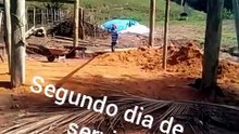 Organizar