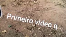 Primeiro vídeo do galpão
