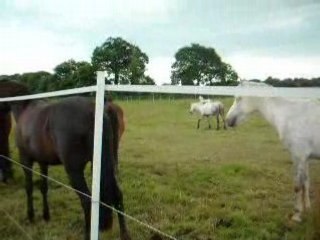 Centre équestre de chateaubourg