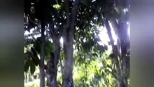 Mais um capítulo