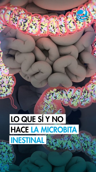 Microbiota: Los mitos que podrían estar afectando tu salud digestiva