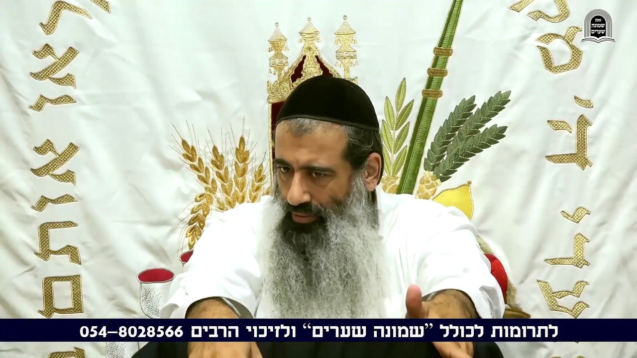 פנימיות דחיצוניות 18