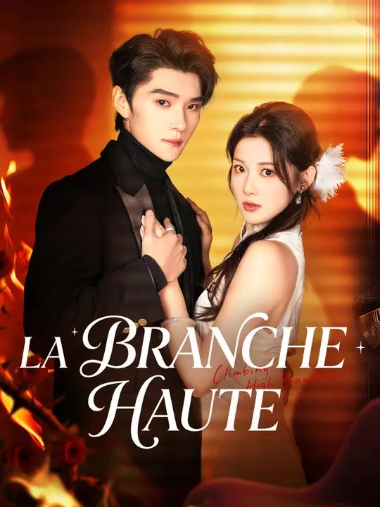 LA BRANCHE HAUTE | Série Complète | Short Drama Français