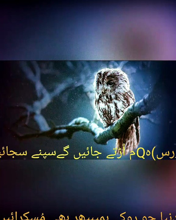 Urdu gazal sapno ki urdan