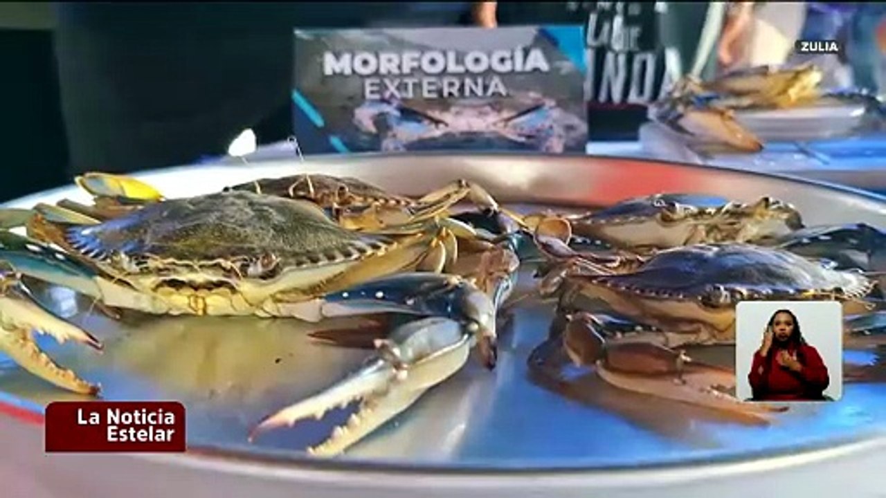 Zulia | Gobierno Bolivariano impulsa la pesca del Cangrejo Azul para fortalecer la economía local