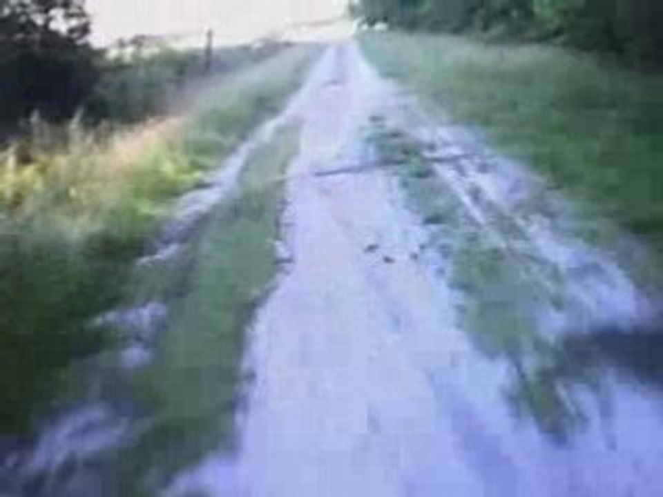 Dirt dans le Médoc II