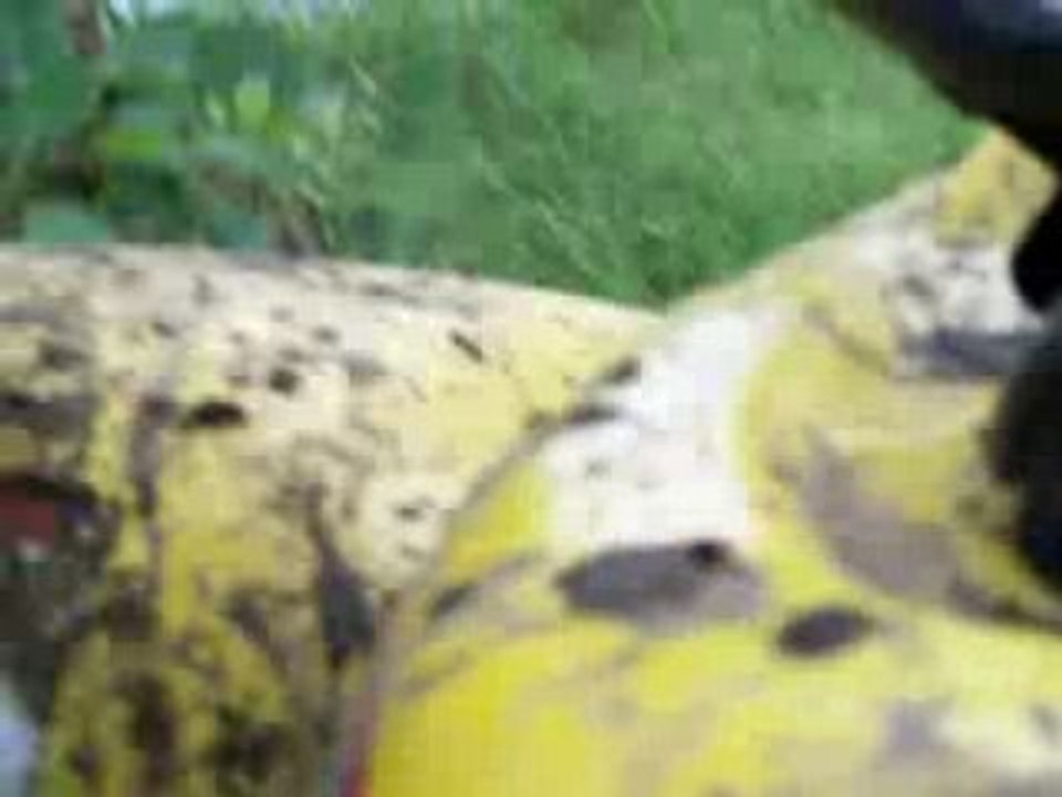 balade quad foret poinconnet