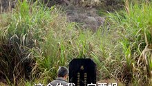 抖音新剧上线#枭雄归来，龙头位置我来坐 (上)