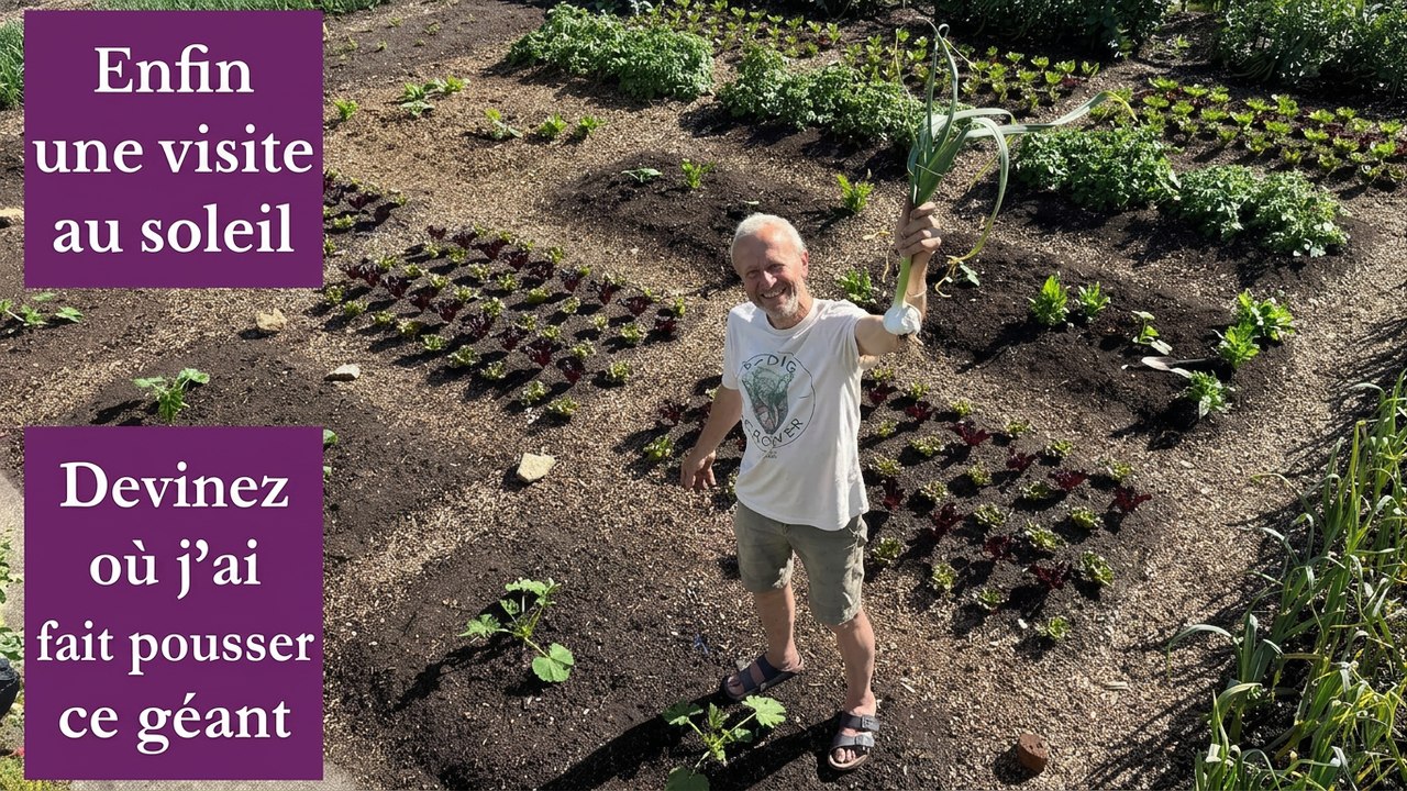 Fin mai au potager sans labour : le gel s'éloigne, place à la chaleur !