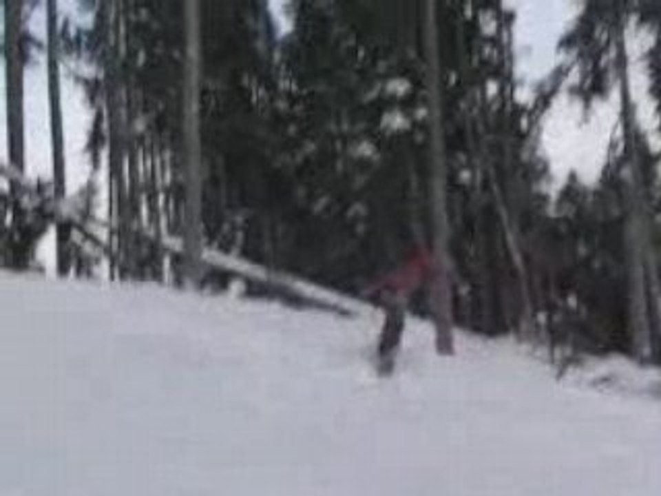 Whistler Rides