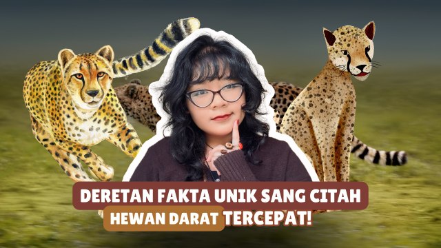 Bukan Cuma Cepat! Ini 5 Fakta Unik Citah yang Jarang Diketahui-Serius Ini Hewan?