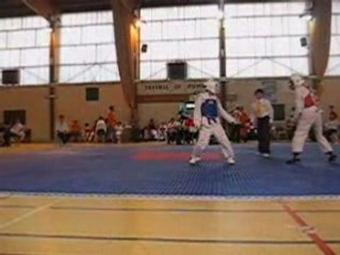 TaeKwonDo coupe d'aubagne 2008 RounD 2/3