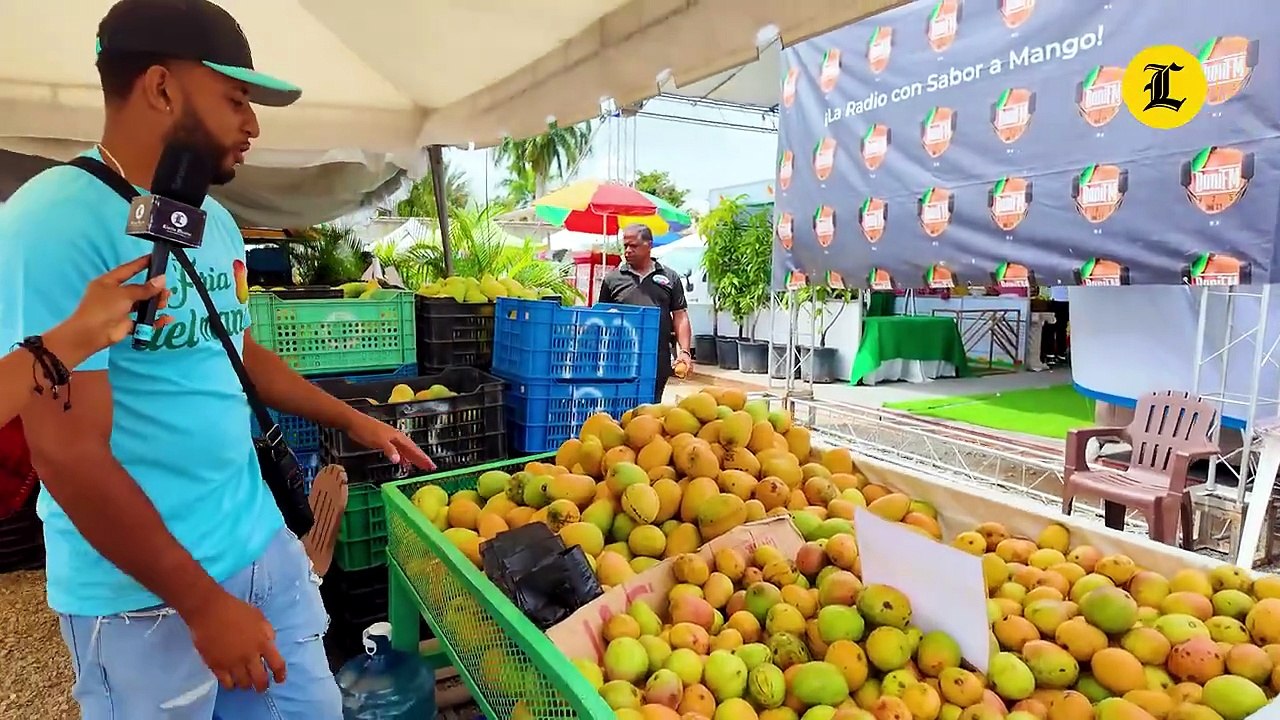 Mango Mingolo lidera la Expo Mango en Baní por su éxito comercial