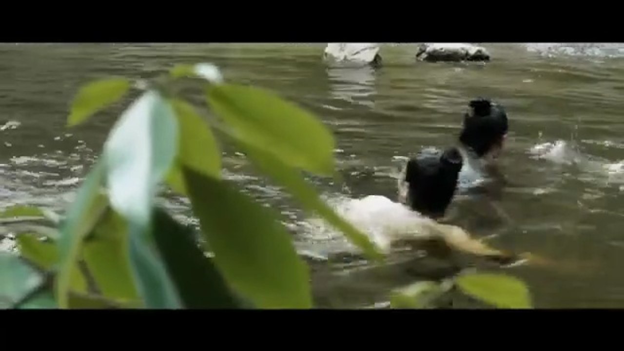 " Honour is everything " [HD] Movie _ Watch 18+ only Please.