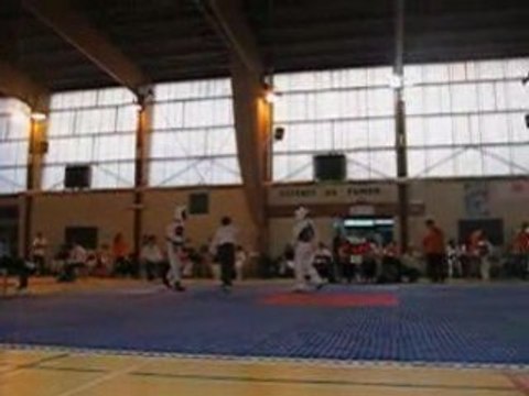 TaeKwonDo coupe d'aubagne 2008 RounD 3/3 Partie 1