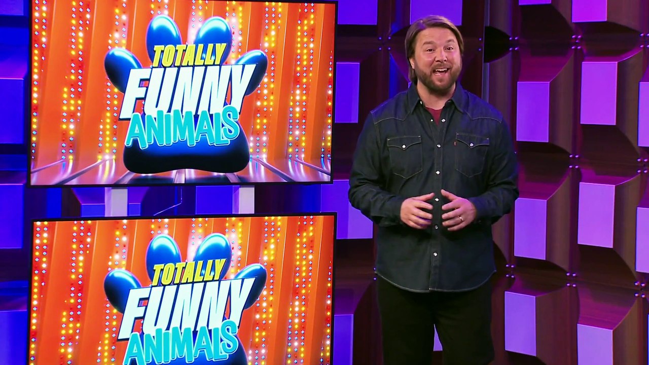 Totally Funny Animals S02E02