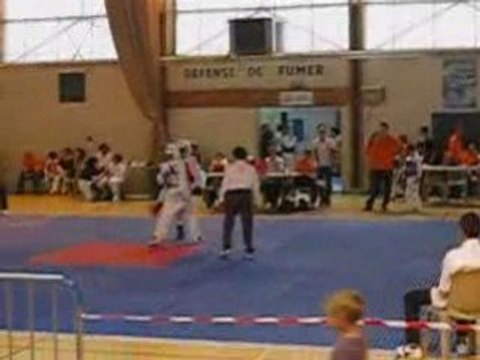 TaeKwonDo coupe d'aubagne 2008 RounD 3/3 Partie 2