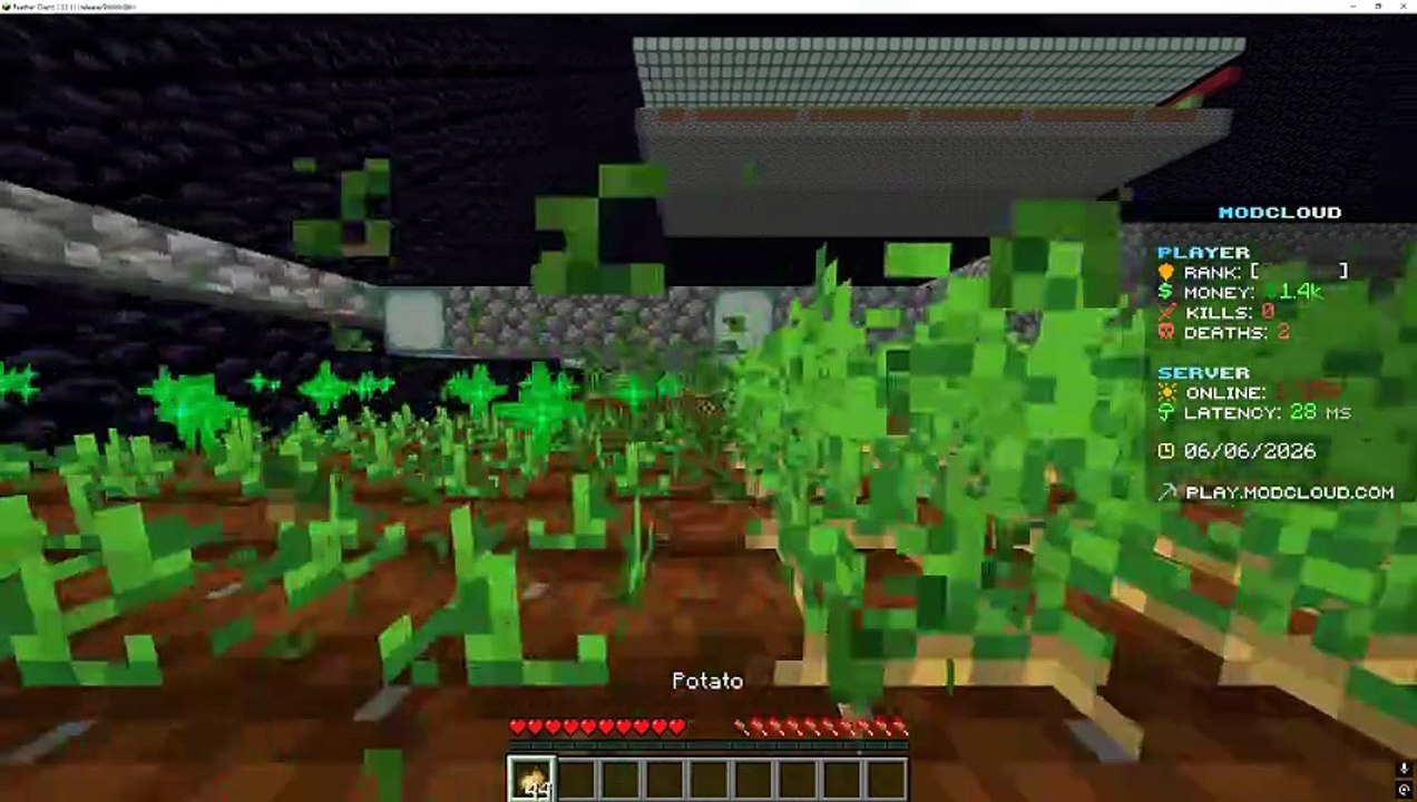 AutoReplantSnippet