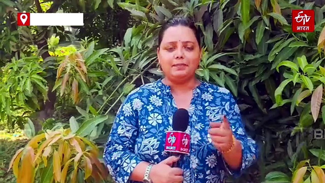 बनारसी लंगड़ा आम; भगवान शिव ने चखा था सबसे पहले स्वाद, पढ़िए- लंगड़ा आम से जुड़े अद्भुत और दिलचस्प रहस्य