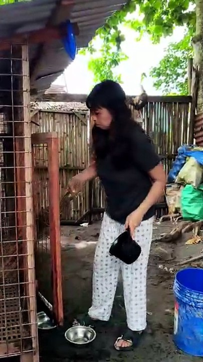 Cleaning the cage of our beloved dog 🐕