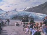 Alaska.org - Portage Glacier Cruise Alaska - Official Video