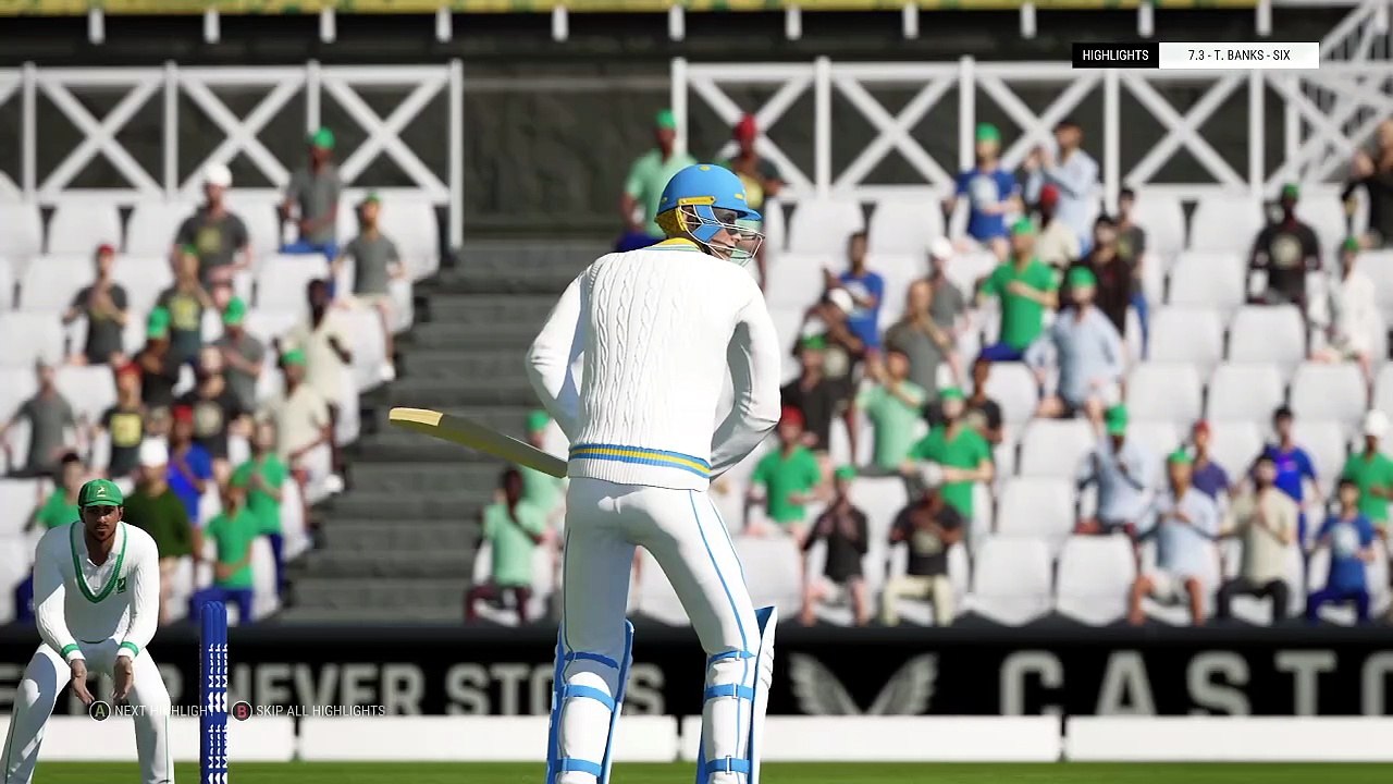 Did I Score Many Runs (Cricket 24)