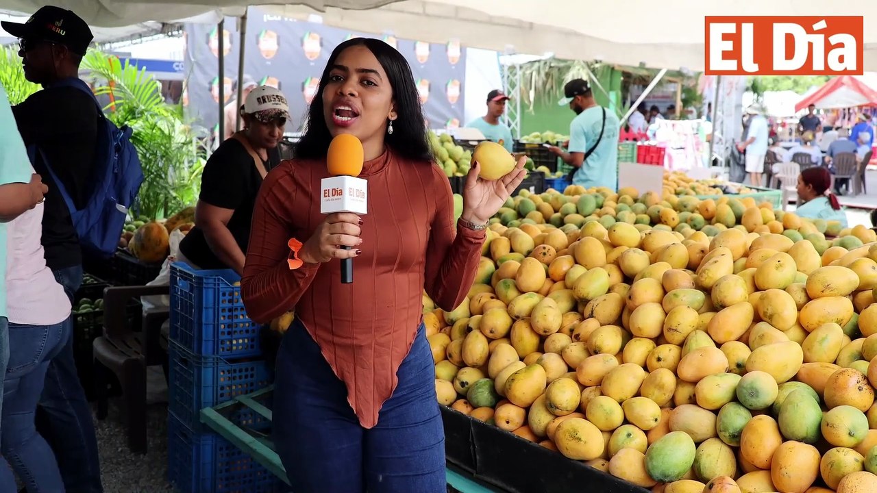 Más allá del Banilejo: los mangos de Haití, India y Estados Unidos que se venden en RD