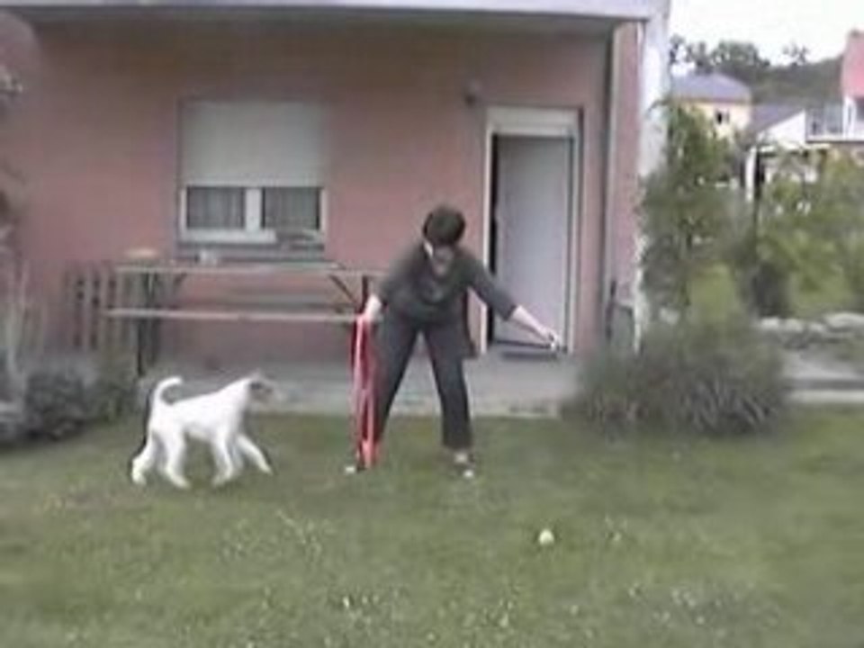 AGILITY Initiation