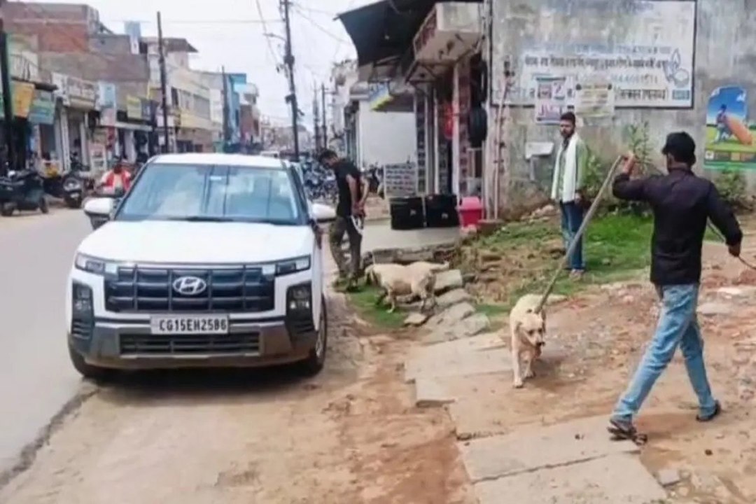 अंबिकापुर में व्यवसायी दंपती को 2 कुत्तों ने डेढ़ घंटे तक दुकान में बनाए रखा बंधक, फिर ऐसे मिली मुक्ति