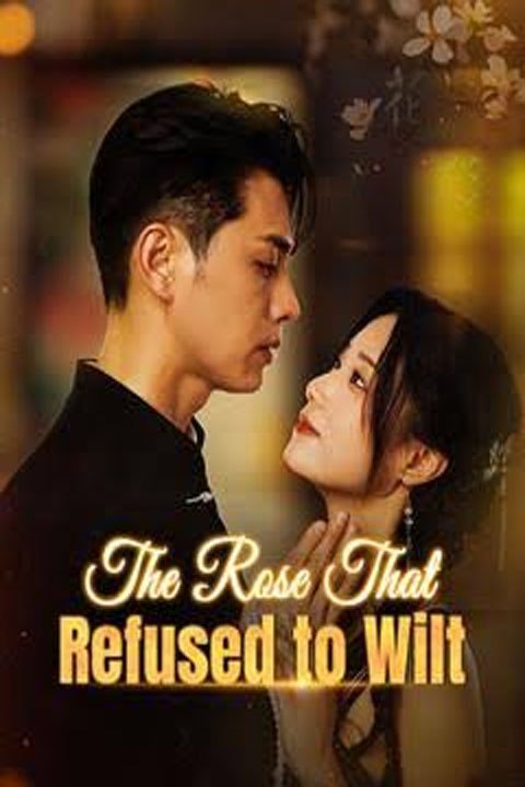 When the Rose Stopped Wilting - Full Drama English Sub