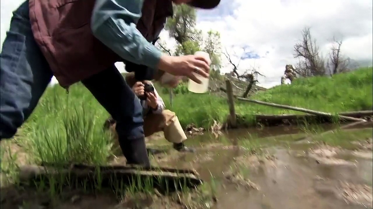 A Long Hard Struggle @ Great Plains America's Lingering Wild 美国大平原上旷日持久的荒野斗争