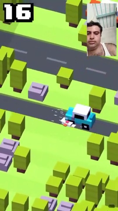 How to Cross the Road? 🐔 Ultra Chicken Gaming Level!