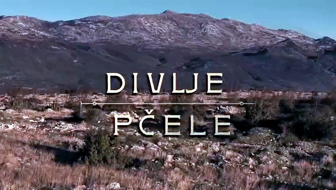 Divlje pčele epizoda 150 KRAJ SEZONE