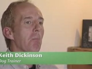 IN SEARCH OF THE TRUTH ABOUT DOGS