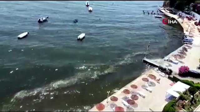 Müsilaj yeniden Gemlik Körfezi’nde