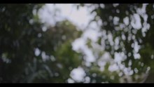 Siraman Compilation