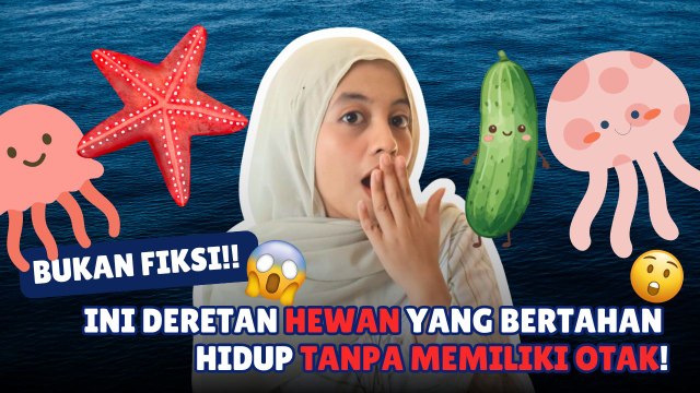 ​Bukan Fiksi! Ini Deretan Hewan yang Bertahan Hidup Tanpa Memiliki Otak-Serius Ini Hewan?
