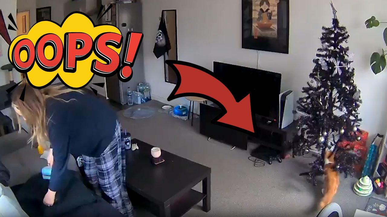 Cat Pulls On Christmas Tree And It Falls Over