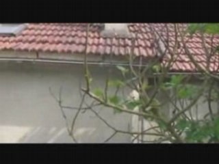 Conflict's brothers / part1