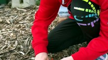 FerroRodFire1