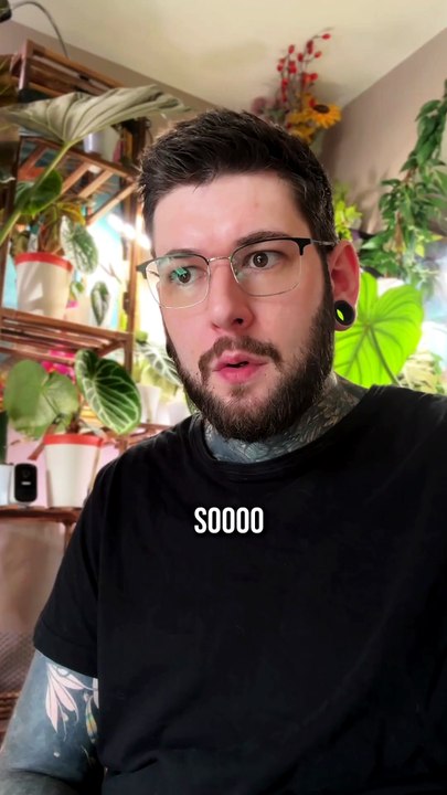 Another King Chilli dispatch