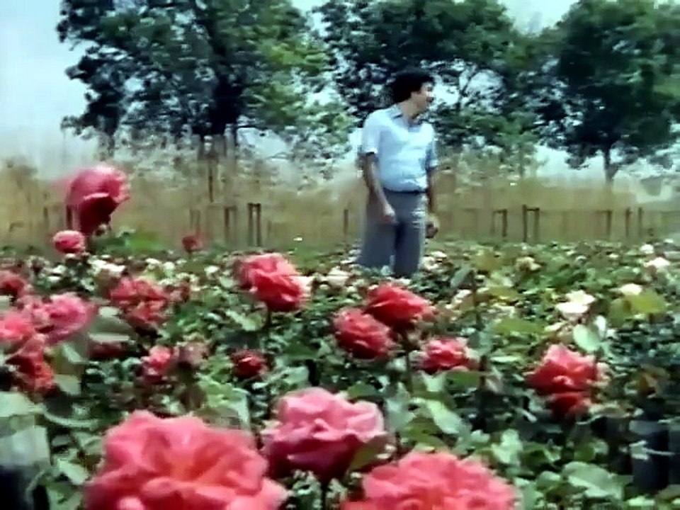 1981 Olmaz Olsun FERDİ TAYFUR NECLA NAZIR Türk Filmi İzle [Full Movie]