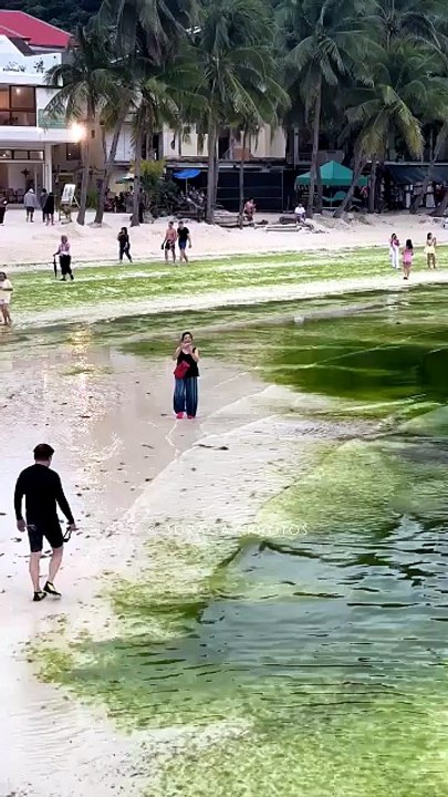 Presence of Green Algae in Boracay [Full Movie]